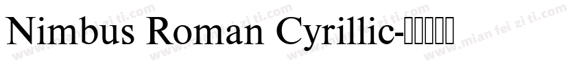 Nimbus Roman Cyrillic字体转换